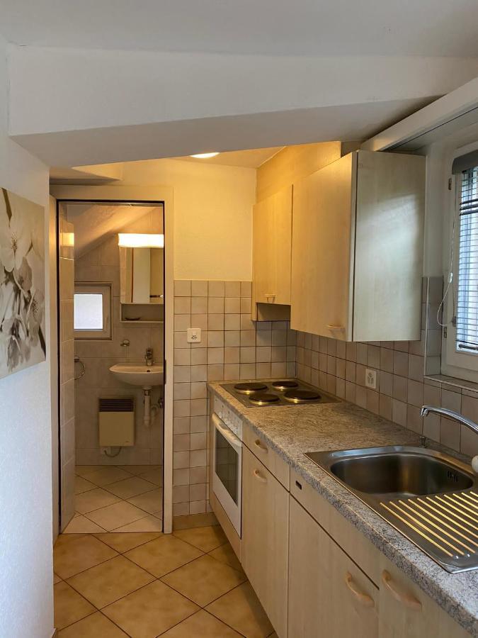 Casa Sibylle Studio - Piccolo Paradiso Minusio Zewnętrze zdjęcie