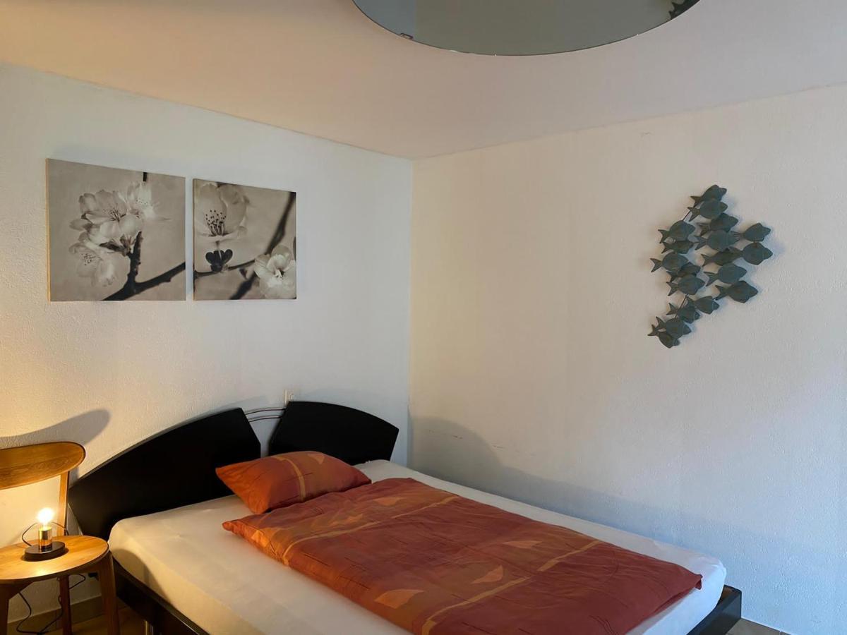 Casa Sibylle Studio - Piccolo Paradiso Minusio Zewnętrze zdjęcie