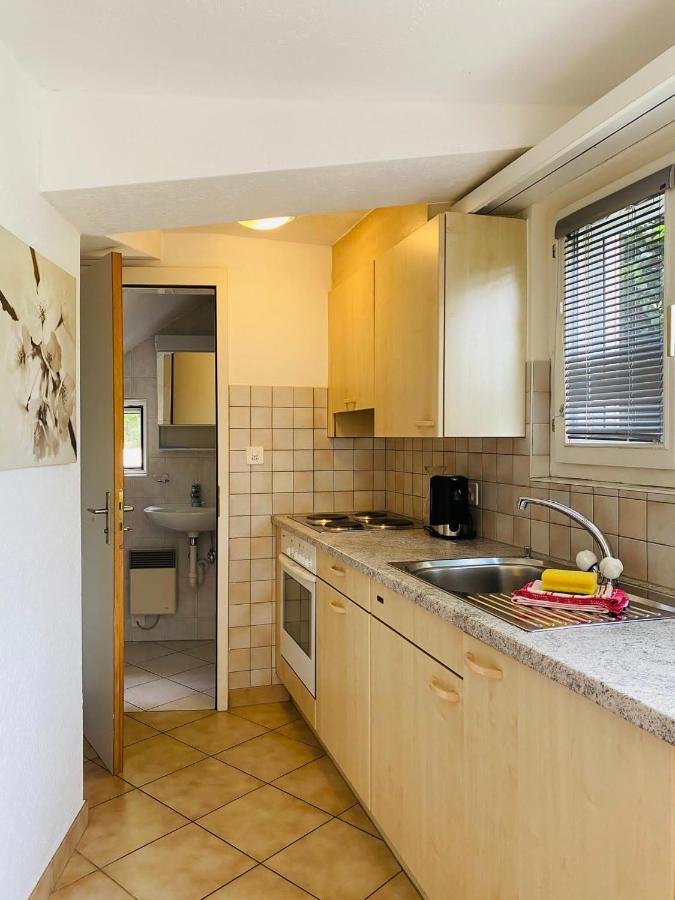 Casa Sibylle Studio - Piccolo Paradiso Minusio Zewnętrze zdjęcie